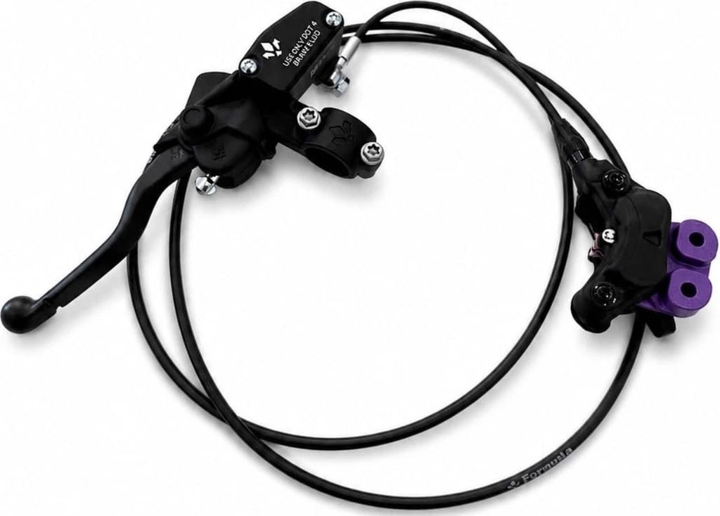 Formula e-moto rear brake