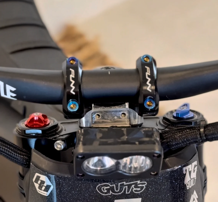 All E-moto | Titanium Direct Stem Mount Bolts